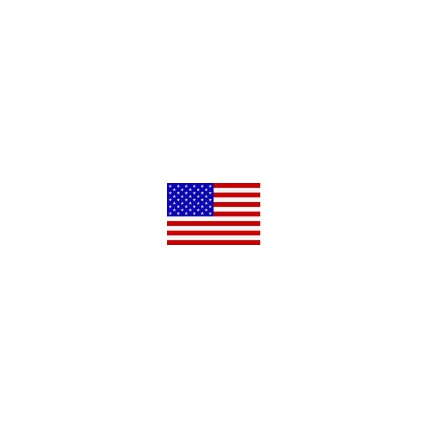 Gsteflag USA trykt 30x45cm