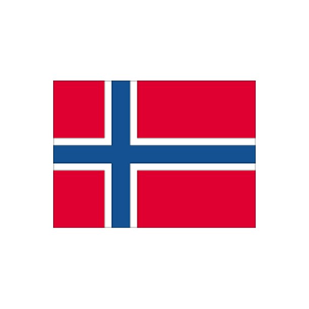 Gsteflag Norge trykt 30x45cm